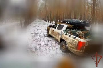 Росгвардейцы уничтожили автомобильную технику ВСУ в лесополосе Харьковской области (видео)