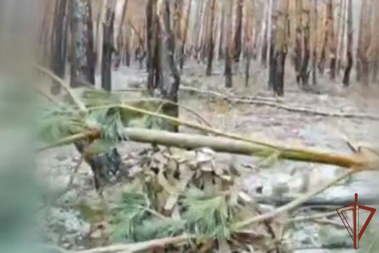 �������������� ���������� �� ����������� ����������� ���������� ������ �������� ��� (�����)