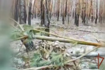 �������������� ���������� �� ����������� ����������� ���������� ������ �������� ��� (�����)