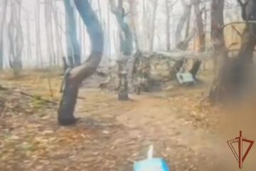 ��������� ���� ���������� �������-��������� ���������� ������� ��� � ����� ����������� ������� (�����)