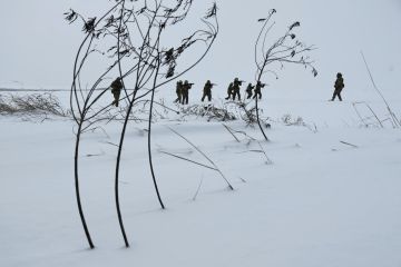 Тюрьма в Харькове опустела из-за набора заключенных в ВСУ, сообщил пленный