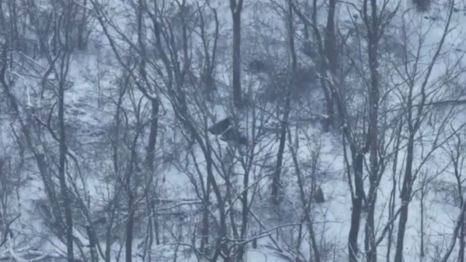 �� ����� �������� ������ �� ������ ��������, ���������� ��������� �������� ���������� � ������� � ����������� ��������������� � ������� � ���� ����