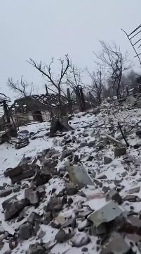 Вооруженные формирования Украины используют в контрнаступе на Купянск иностранных наемников