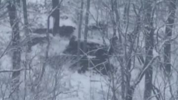 Евгений Поддубный: Подолы, что к юго-востоку от Купянска перешли под контроль российских вооружённых сил