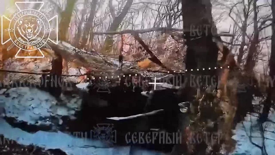 ��������������� ������ fpv ������� � ����������� �������