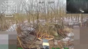 Владислав Шурыгин: Наши дроны прогрызают защиту и поражают сразу две вражеские САУ в Харьковской области