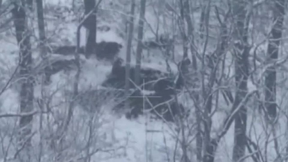 ������� ���������: ������, ��� � ���-������� �� �������� ������� ��� �������� ���������� ���������� ���