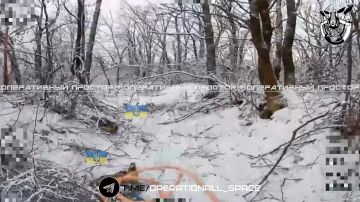 Охота на прячущихся потеряшек от #6_армии