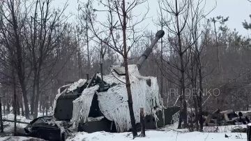 ������ �������: �������: ������������ ���������� ��������������� ������ ���, ����������� ��������� �������������