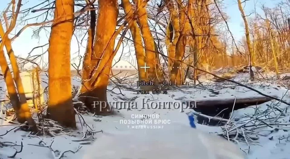 ��������� �������: ����������� ��������. ����������� ����������� ����������� � �������-������� ������������ ������ � �������� ���� ����������