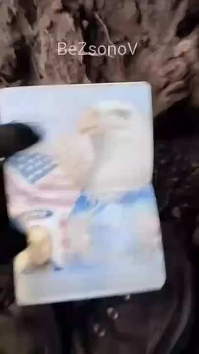 � ���� ������� ������� � �������� ������������ ��� ���������� ����������� ���������