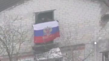 Опубликовано видео водружения триколора в селе Подолы Харьковской области