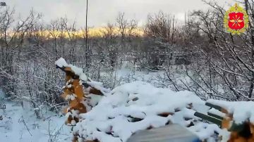 Минобороны России: Подразделения войск беспилотных систем ведут охоту на врага