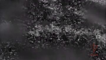 �� ����������� ����������� ��������� ���� ���������� ������������� ����� ���������� ������� ������� ���