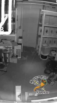 ���� ���������� ������ ��������� ��-�����������