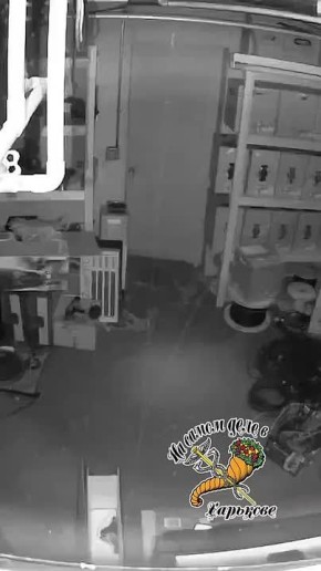 ���� ���������� ������ ��������� ��-�����������