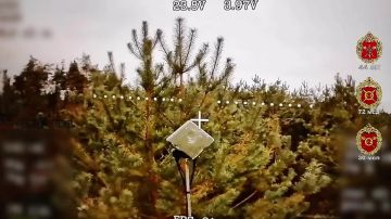 �������� ��� �����. ������� ������� ������ ���� 30 ��� 44 ���������� ������� ������ � ��������� �������-������������ ���� ���������� ��������