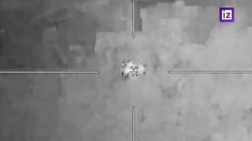 ������ ���� "����" ����������� ����� "�����" ������������ ��������� �������� ���������� ��������� Gepard � ����������� �������