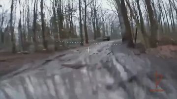 Росгвардейцы уничтожили бронетехнику ВСУ иностранного производства на харьковском направлении