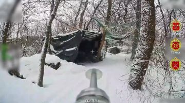 � ��������. ����������� ������� ������ ���� 41 ��� 44 ���������� ������� ��������� ��� ���, ���������������� ��� ���������� ���������� ������� ������� � �������� �����������