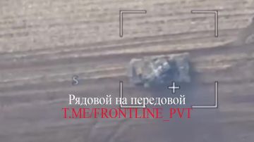 ������ ����������������� ���� ����� ����� ����������� ������ � ������� 11-�� ���������� ������� ����������� ����� ������ ��������� ��������� �������� ���������� ��������� �Gepard� ������������ ��� � ���� ���������� ��� �...