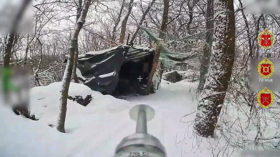 ����������� �������. ������ ���� 44 ���������� ������� ��������� ��� ���, ���������������� ��� ���������� ���������� ������� ������� � �������� �����������