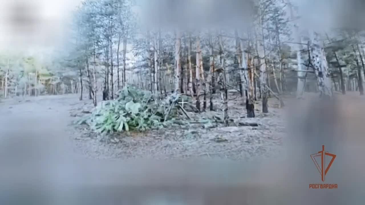 Операторы БПЛА Росгвардии уничтожили замаскированное орудие ВСУ в Харьковской области