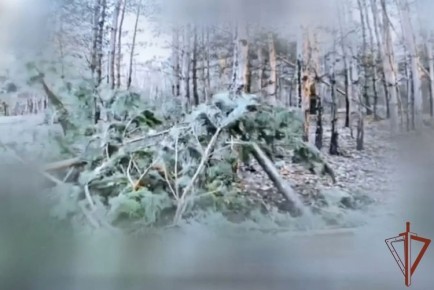 ��������� ���� ���������� ���������� ��������������� ������ ��� �� ����������� ����������� (�����)