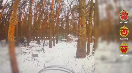 Пока своих стерегли, себя не сберегли