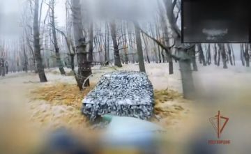 ������� ���� 116-� ������� ���������� ���������� ������� ������� ��� �� ����������� �����������