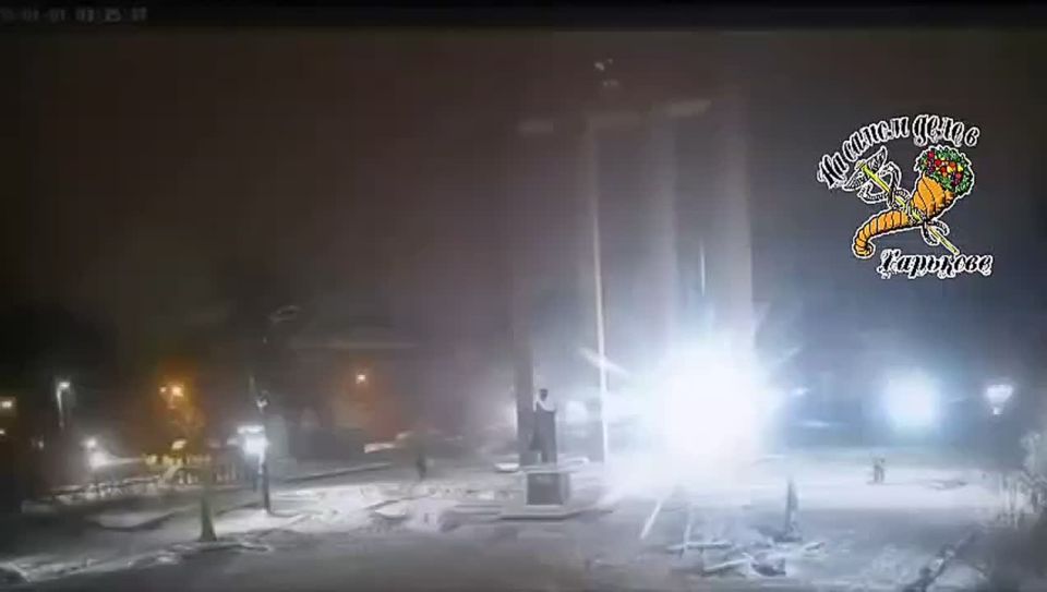 Эх жаль, чуть-чуть не долетела!