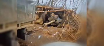 ������� ���������� ��������� ������� �����-�� ��� �� ����������� ����������� (�����)