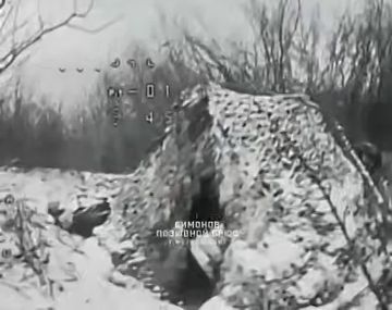 ������ � ��������� ���� ����������