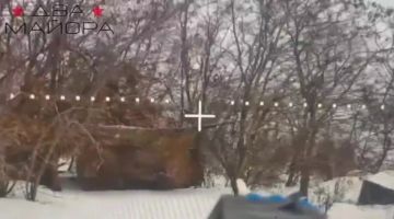 ��� ������: ����������� �����������. ��������� ���� 83-�� ����� ������� ������� ����� ������ ������