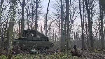 ����������� ����������� ( ������ �� @DnevnikDesantnika)