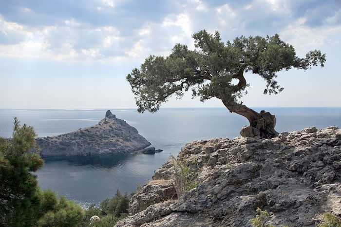 ����� 15 ���� � ��������� �������� ��� ������������� � �����������