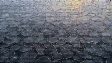 �������� ��������� ����������� ����, ������ �� ����� �������� ���������� � ������. ������� � ����� ����