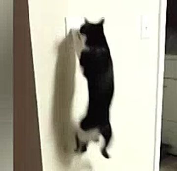 ����� ����������� �������� ��� �����