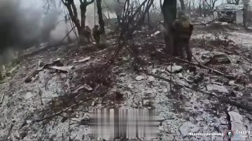 ������� ��������: ����� ���� � ��������.. ����� � ��� �������, ������ ������������������� ��������� ���