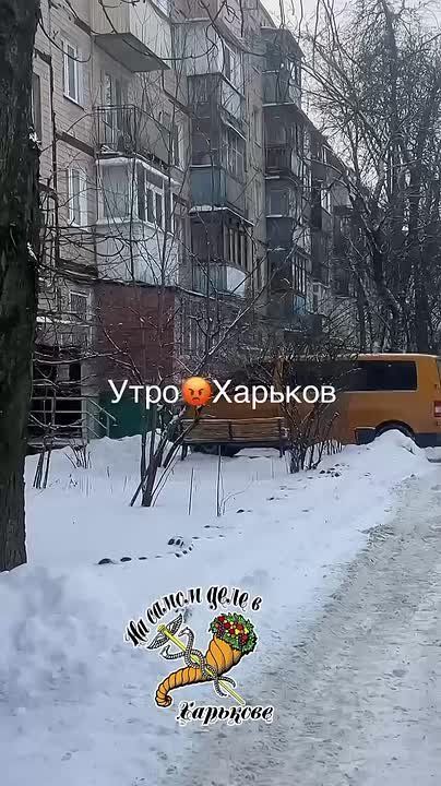 Утро в Харькове начинается не с кофе, а уличных криков "помогите!"