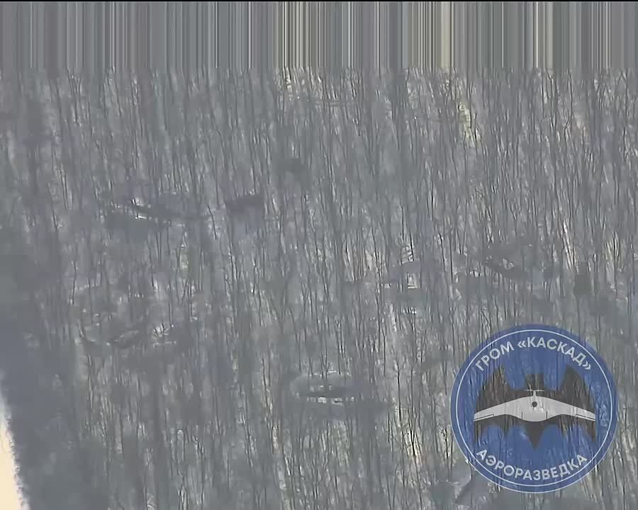 ������� ������: ��� ���� �������� ��������� MLRS �� ����� ������� ���� "������"