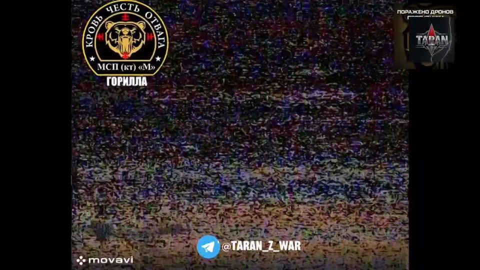 ТАРАН — ОРУЖИЕ ГЕРОЕВ. Телеграмм канал ТАРАН - оружие героев!