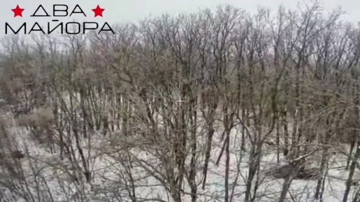 ��� ������: ����������� �����������. ��������� ���� 83-�� ����� ������� ������� ����� ������ ������