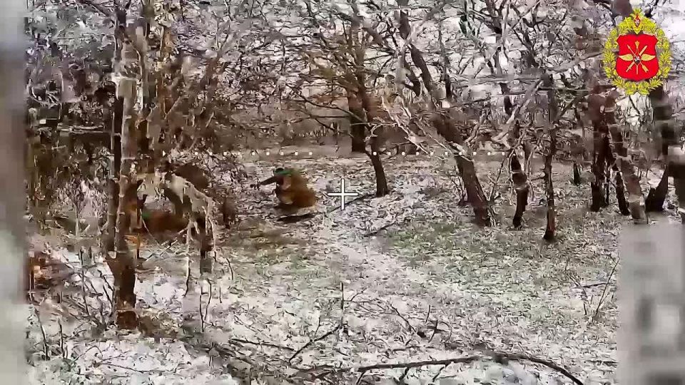 Войска беспилотных систем наносят мощные удары по противнику