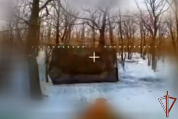 ������� ���������� ��������� ��� �Krab� �� ����������� ����������� (�����)