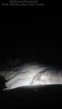 ������������ ������� ������� �� ����������� �����������, ������ ������������ ��������