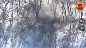 Минобороны России: Войска беспилотных систем выбивают противника со всех направлений