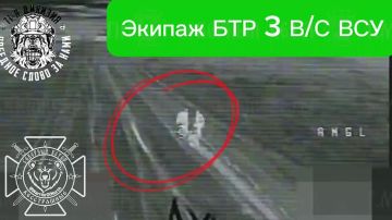 ��������� ������������ ����������� �113 ������ � �������� � ����������� �������