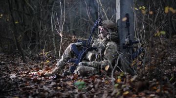 ��������� ��������. ��� ��������� ��������� ������ � ����������