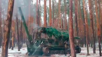 «Тюльпаны» обрушили снаряды на пункты управления БПЛА под Купянском